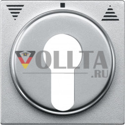 Schneider серия: Merten 319360 System M Rollladen-Tastrastschalter крышка, цвет: алюминевый, тон: матовый