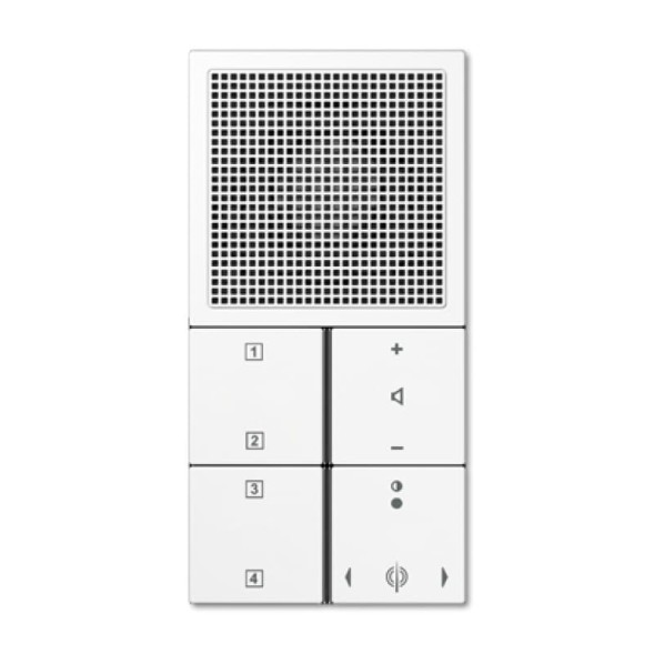 Jung RANLS914WW LS990 Radio цвет: альпийский белый
