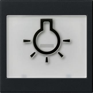 Gira 0216005 BSF light тактильная система 55 sw клавиша