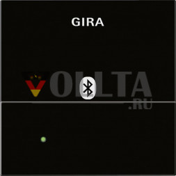 Gira 228605 System55 для вставки док-станции, Apple 30Pin цвет: черный