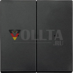 Schneider серия: Merten 625214 System M Клавиша для модуля, двойная, клавиша цвет:антрацит, тон: матовый