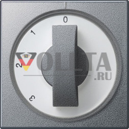 Gira 066926 System55 Накладка с ручкой для трехступенчатого переключателя, цвет: алюминевый