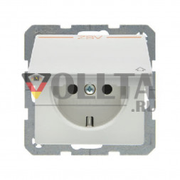 Berker 47516049 Q1 SCHUKO-розетка 16А, со штампом ZSV