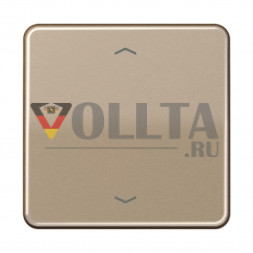 Jung CD5232FSGB CD500  Радиоприемник крышка, цвет:золотой