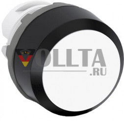 ABB Stotz-Kontakt 1SFA611199R1217 MP1-10W-L WATER Символ Код E2300454 Кнопка