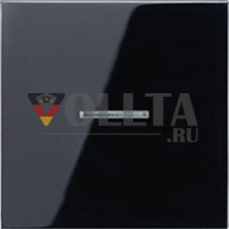 Jung LS1561.07USW LS990 Клавиша  универсальный, цвет: черный