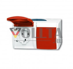 Busch-Jaeger 20/2EW/DVN-53 Ocean SCHUKO-розетка  цвет:серый