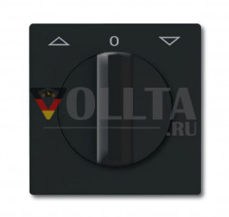 Busch-Jaeger 2142DR-35 серия:Allwetter44  переключатель  для жалюзи/кнопка клавиша крышка, цвет:антрацит
