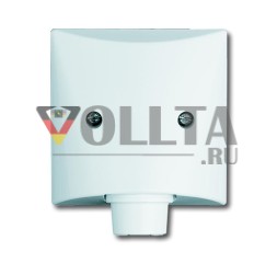 Busch-Jaeger 2133-34 центральная пластина, с опорным кольцом альпийский белый