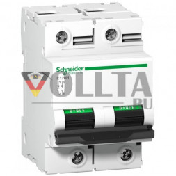 Schneider Electric A9N18502 C120H 2-полюсный автоматический выключатель D100A