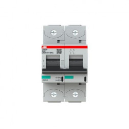 ABB Stotz-Kontakt 2CCG001217R0001 S802P-B80 80A B-Char.2P автоматический выключатель для тяжелых условий эксплуатации