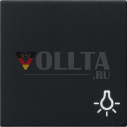Gira 0285005 система освещения с символом 55 черная клавиша