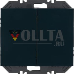 Berker 24127036 FoH K.1 2-канальный антрацитовый с радиокнопкой