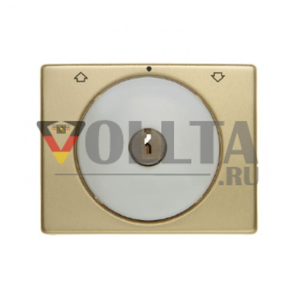 Berker 10790402 Arsys Жалюзи-панель переключателя с замком крышка, ключ извлекается в трех положениях цвет:золотой