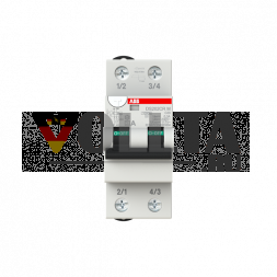 ABB Stotz-Kontakt 2CSR772140R3204 DS202CRMA-C20/0.3 10kA 2P A C20 300mA FI/LS переключатель