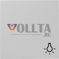 Gira 0285015 Symb. Light Sys 55 серая качалка