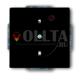 Busch-Jaeger 2310EUGL/VA-885-11 Busch-Protector® Вставка для розетки SCHUKO®, с защитой от перенапряжения, матово-черная