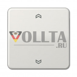 Jung CD5232FLG CD500 Радиоприемник крышка, цвет: светло серый