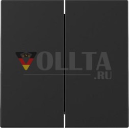Gira 3295005 2f Sys.55 sw с рокером