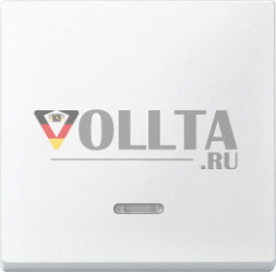 Schneider серия: Merten 431019 System M контрольный-выключатель света крышка, цвет:полярная белизна, тон: матовый