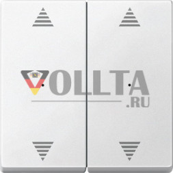 Schneider серия: Merten 625819 System M Клавиша для модуля, двойная, клавиша цвет:полярная белизна, тон: матовый
