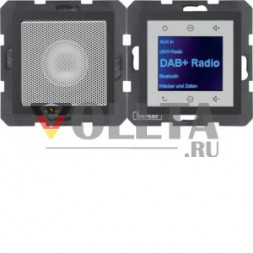 Berker 30801606 LSP DAB+ BT Bx матовый Радио Сенсорный