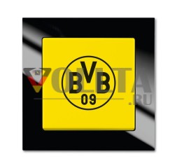 Busch-Jaeger 2000/6 UJ/01 Переключатель вентилятора Borussia Dortmund, включение и выключение