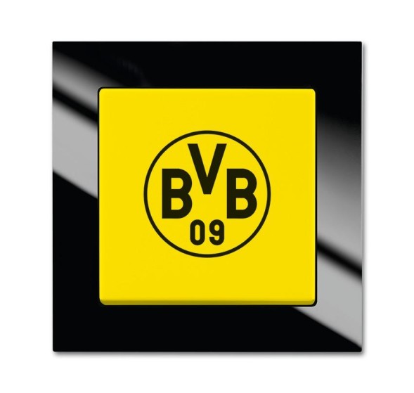 Busch-Jaeger 2000/6 UJ/01 Переключатель вентилятора Borussia Dortmund, включение и выключение