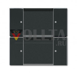 Элемент управления Busch-Jaeger 6736-81 ZigBee Light Link, 2-полосный антрацит