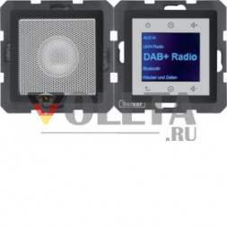 Berker 30806086 LSP DAB+ BT Qx ant включая Radio Touch
