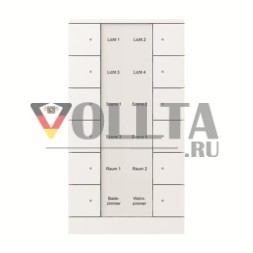 Busch-Jaeger 2CKA006330A0016 6330/60-500 12-позиционный элемент управления