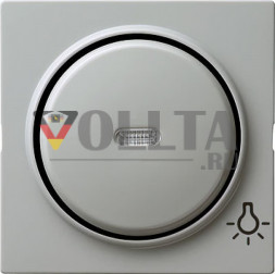 Gira 028542 S-Color крышка, освещаемая, c символом свет, цвет:серый, тон:глянец