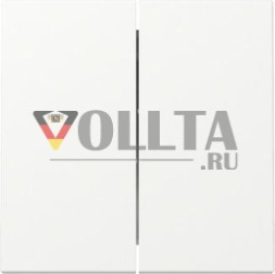 Gira 329527 2ф Sys.55 rws с качалкой