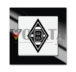 Busch-Jaeger 2000/6 UJ/05 Переключатель вентилятора Borussia Monchengladbach, включение и выключение