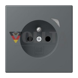 Jung BTLC1521FS202 HOME Французско-бельгийская розетка