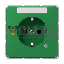 Jung CD520NAKOGN CD500 SCHUKO-розетка  16А, цвет: зеленый,