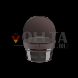 Busch-Jaeger 2CKA006800A3071 Wachter 220° BT Braun детектор движения