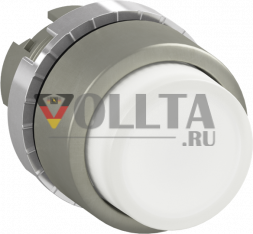 ABB Stotz-Kontakt 1SFA184507R9105 P9MPLBSD металлическая кнопка с белой подсветкой