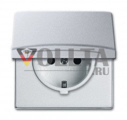 Busch-Jaeger 20EUGK-33-101 серия:Allwetter44 SCHUKO Наружная розетка 16А, откидная крышка, цвет:алюминевый