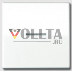 Jung AS1561.07FKOWW AS500 Клавиша c LED и Радиоприемник цвет: альпийский белый
