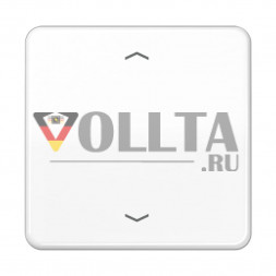 Jung CD5232FWW CD500 Радиоприемник крышка, цвет: альпийский белый