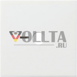 Gira 023403 System55 кнопка вызова, крышка, цвет:чисто белый, тон:глянец
