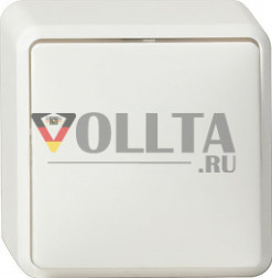 Gira 010613 Выключатель  накладной, для наружного монтажа Выключатель 10А, универсальный выключатель/переключатель , белый, тон:глянец