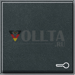 Gira 028767 TX44 выключатель/кнопка, клавиша крышка, c символом дверь цвет:антрацит