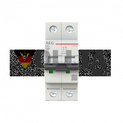 Busch-Jaeger 2CDS272088R0631 Elfaplus 10kA D-63A 2P автоматический выключатель