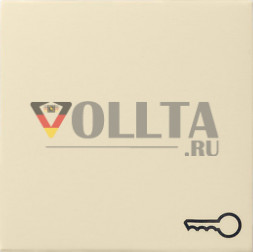 Gira 028701 System55 крышка, c символом дверь цвет: кремово-белый, тон:глянец