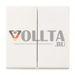 Busch-Jaeger 2CKA006730A0152 6736 FoH-914 2-канальный элемент управления FoH
