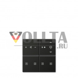 Jung RANAL29140TSAN LS990 клавишный блок с Radio цвет алюминевый цвет:антрацит