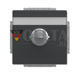 Вставка для розетки Busch-Jaeger 20 EUKNBSL-81 SCHUKO®, с откидной крышкой и замком, антрацит
