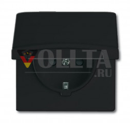 Busch-Jaeger 20EUGKB-35-101 серия:Allwetter44 SCHUKO розетка 16А, IP44защита от детей цвет:антрацит
